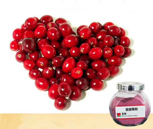 Cranberry Juice Powder - Tianjin Tangchao Foods Industry Co., Ltd